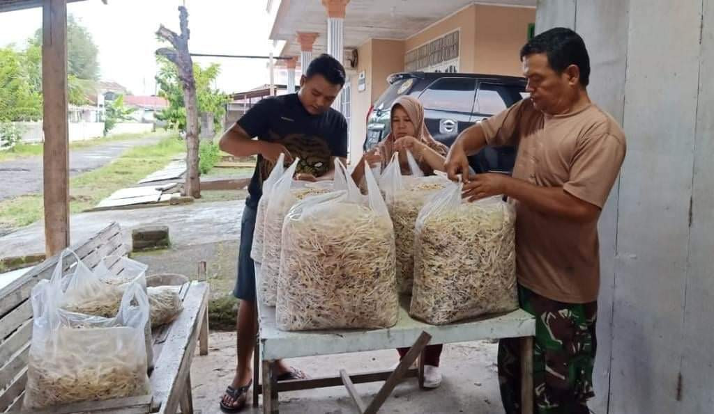 Babinsa Produktif Koramil 01/PBU Padang Budidayakan Tanaman Toge