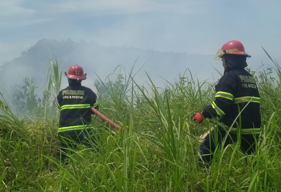 Dua Hektare Lahan di Padang Terbakar