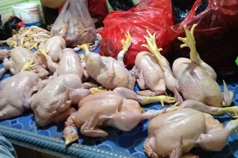 Antisipasi Kenaikan, Disperindag Kota Padang Pantau Harga Daging Ayam