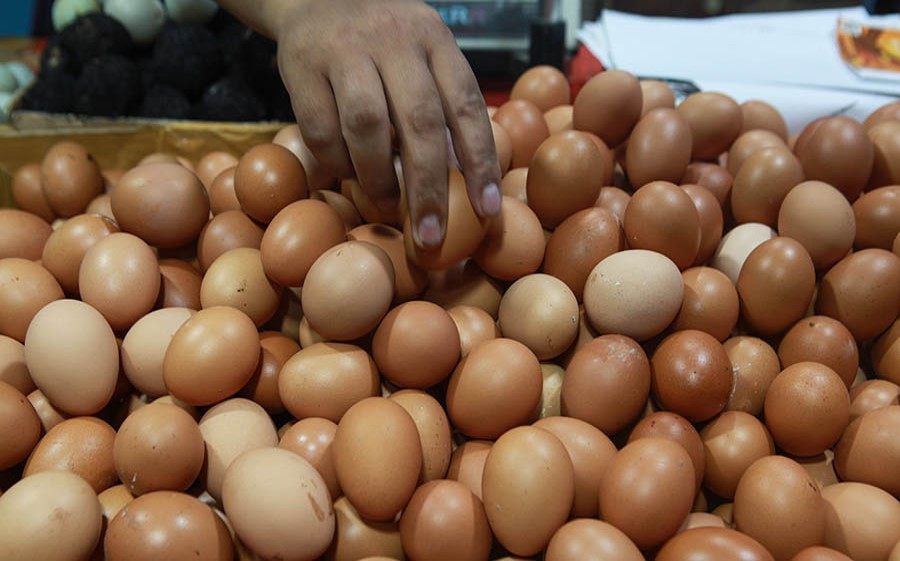 Harga Beras Turun, Daging dan Telur Ayam Melambung