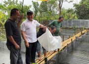 Anggota DPD RI Muslim M Yatim  Bersama Wartawan Tebar 10 Ribu Bibit Ikan Lele di Kampung Golai Jati, Kota Padang