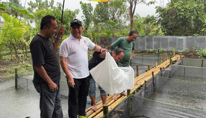 Anggota DPD RI Muslim M Yatim  Bersama Wartawan Tebar 10 Ribu Bibit Ikan Lele di Kampung Golai Jati, Kota Padang