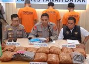 Polres Tanah Datar Berhasil Ungkap Penyalahgunaan Narkoba Jenis Ganja Seberat 13Kg di Dua Lokasi Berbeda