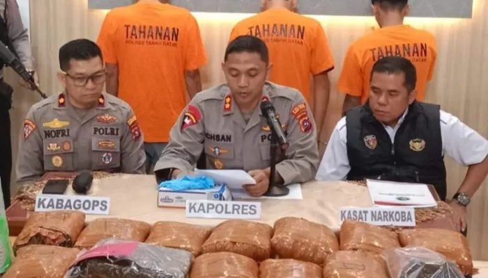 Polres Tanah Datar Berhasil Ungkap Penyalahgunaan Narkoba Jenis Ganja Seberat 13Kg di Dua Lokasi Berbeda