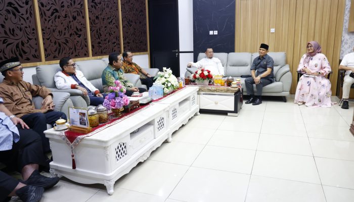 Irsyad Syafar: Efisiensi Anggaran Berpengaruh Terhadap Fungsi Pengawasan Anggota DPRD