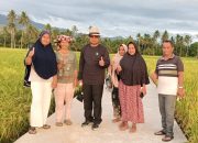 Khairuddin Simanjuntak Inginkan Kabupaten Pasaman Sebagai Lumbung Beras di Sumbar