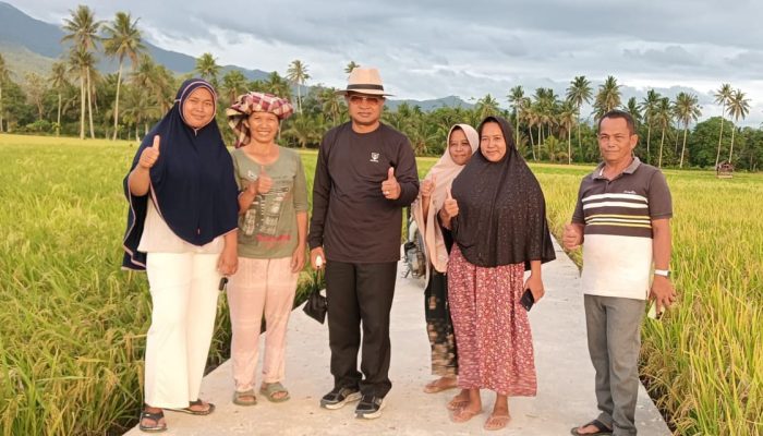 Khairuddin Simanjuntak Inginkan Kabupaten Pasaman Sebagai Lumbung Beras di Sumbar