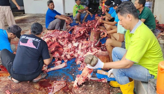 Kurban LDII Sumbar 2025 Dorong Perputaran Ekonomi Hingga Rp4 Miliar