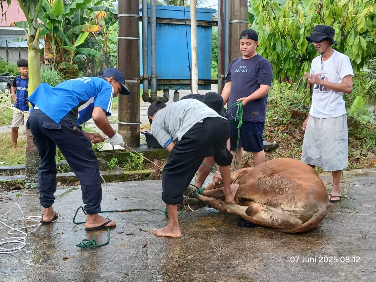 PETUGAS sedang melakukan pemotongan hewan kurban di halaman Musala Nurul Huda, RT 04 Komp. Rindang Alam, Sabtu (7/6). IST