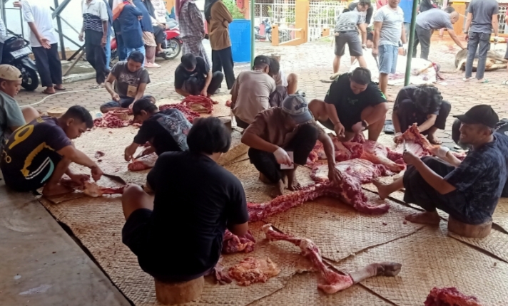 PEMISAHAN daging dan tulang sapi. RYN