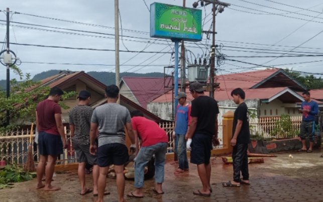 PROSESI pemotongan hewan kurban. RYN
