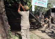 Satpol PP Padang Bongkar Bangli di Simpang Haru