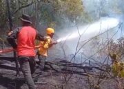 Sumbar Siaga Darurat Kebakaran Hutan dan lahan
