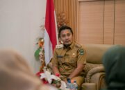 Pemprov Sumbar Usulkan ke Pusat Pembangunan Jembatan di Pasaman Usai Viral Bidan Berenang Seberangi Sungai Menolong Pasien