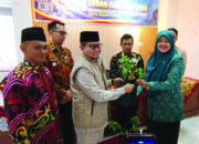 Pemerintah Kota Bukittinggi Berikan 300 Bibit Cabai Untuk Lakukan Gerakan Menanam