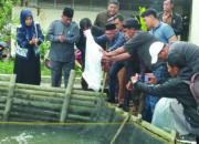 Asril, S.E. Legislator Partai NasDem Kota Bukittinggi : Pilot Project Budidaya Peternakan Ikan Air Tawar