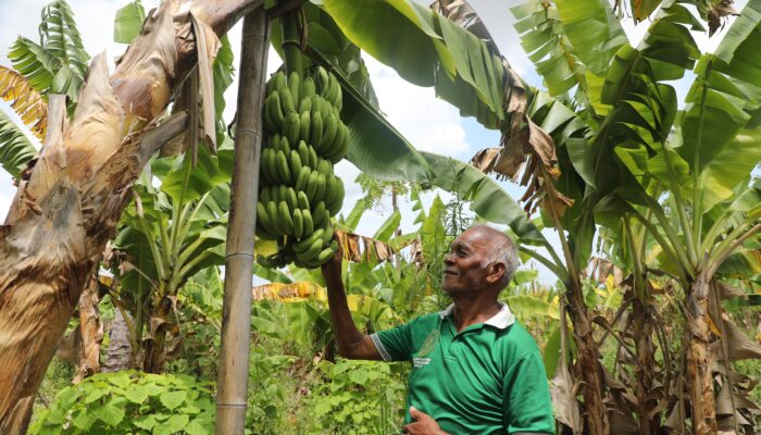 Reforma Agraria Buka Jalan Sejahtera bagi Petani Desa Baumata di Kupang