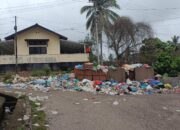 Retribusi Dipungut, Sampah Dibiarkan Menumpuk hingga Membusuk di Pasar Lubuk Jambi