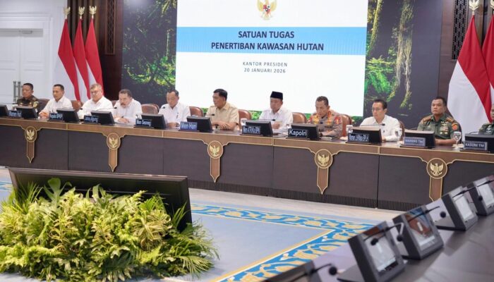 Negara Ambil Alih 4,09 Juta Hektare Kawasan Hutan, Izin Puluhan Perusahaan Dicabut