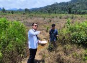 Pastikan Data Tanah Akurat, Panitia A BPN Pasaman Barat Turun Verifikasi Lapangan di Sinuruik dan Kajai