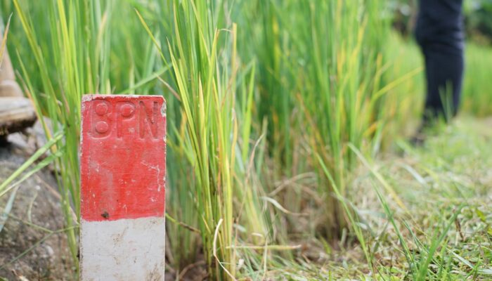 ATR/BPN Pasaman Barat Ajak Warga Pasang Patok Sejak Dini, Cegah Sengketa dan Percepat Sertifikasi