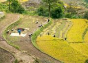 Dorong Pemerataan Akses Tanah, Reforma Agraria Berbasis HPL Diperkuat di Pasaman Barat