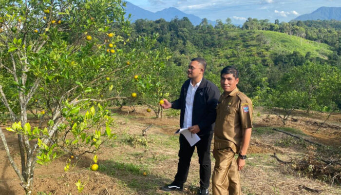 GTRA Sumbar Tinjau Redistribusi Tanah di Talamau, Dorong Penguatan Ekonomi Masyarakat