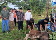 Semangat Kurban Bank Nagari Terus Meningkat, Ketua DPRD Sumbar Sangat Mengapresiasi