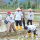 Sumbar Tuntaskan Rehabilitasi Lahan Rusak Terdampak Bencana