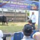 Masjid Raya Syekh Khatib Al-Minangkabawi Tebar 800 Kupon Daging Kurban