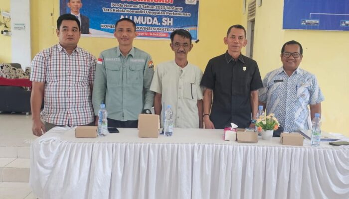 Anggota DPRD Sumbar Ali Muda Gelar Sosper Tata Kelola Komoditas Unggulan Perkebunan di Kinali Pasbar