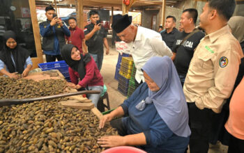 Sumbar Tingkatkan Nilai Pinang Lewat Hilirisasi