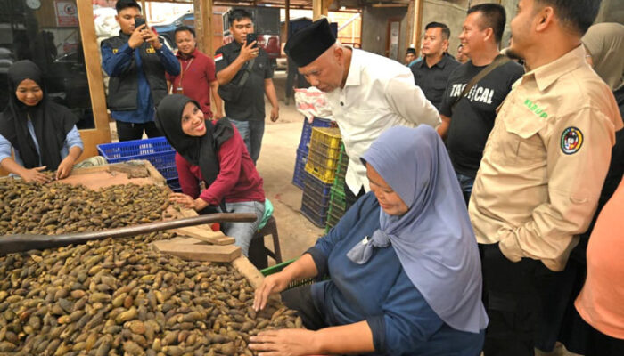Sumbar Tingkatkan Nilai Pinang Lewat Hilirisasi