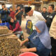 Sumbar Tingkatkan Nilai Pinang Lewat Hilirisasi