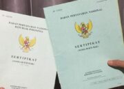 Ingin Membagi Sertifikat Tanah? Simak Syarat dan Prosedur Pemecahan Bidang Tanah