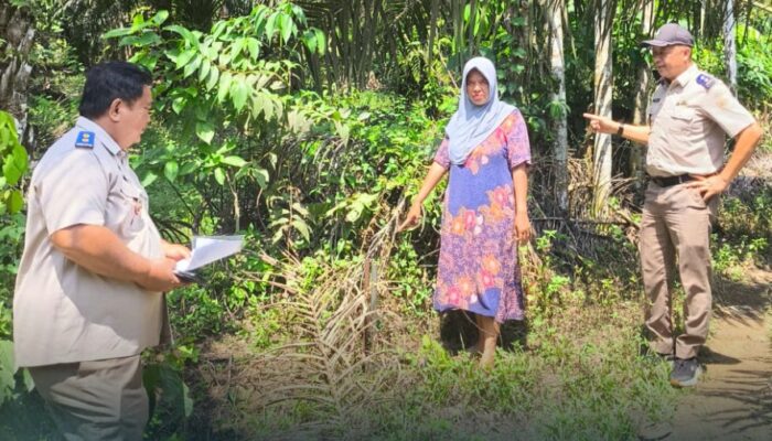 Panitia A BPN Pasaman Barat Pastikan Kejelasan Batas Tanah Lewat Pemeriksaan Lapangan di Nagari Parit