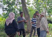Tim GTRA Pasaman Barat Petakan Potensi TORA di Air Bangis, Perkuat Penataan Aset untuk Kesejahteraan Warga