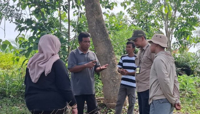 Tim GTRA Pasaman Barat Petakan Potensi TORA di Air Bangis, Perkuat Penataan Aset untuk Kesejahteraan Warga