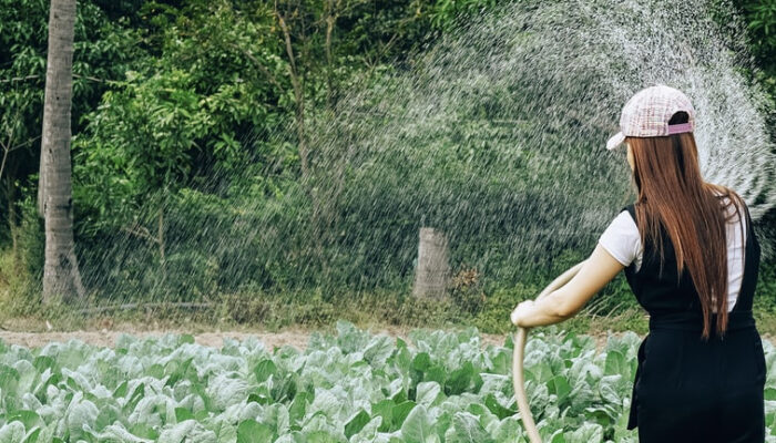 Pemda Diminta Siapkan SDM Hadapi Pergeseran Pasar Kerja dan Perkembangan Green Jobs