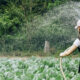 Pemda Diminta Siapkan SDM Hadapi Pergeseran Pasar Kerja dan Perkembangan Green Jobs