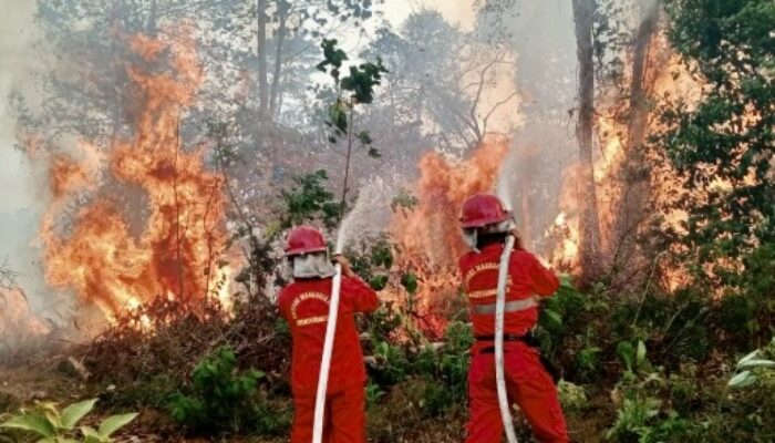 Kabut Asap Mulai Selimuti Sejumlah Wilayah, Presiden Merapat di Pekanbaru