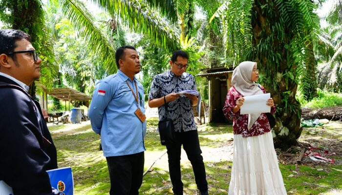 Kantah Pasaman Barat Cek Langsung Pemanfaatan Tanah Terindikasi Terlantar di Muara Kiawai