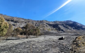 Kebakaran Bromo, Kemenpar Dukung Penutupan Sementara dan Siapkan Opsi Refund Wisatawan