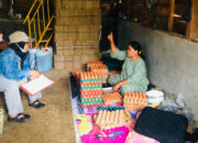 Dari Sertifikat ke Usaha Ayam Petelur, Linda Buktikan Reforma Agraria Bisa Gerakkan Ekonomi