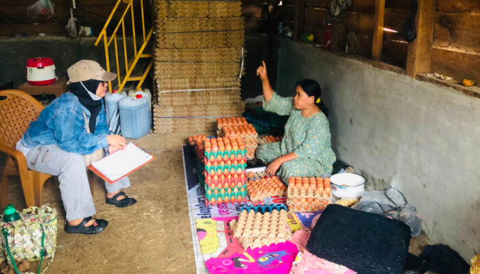 Dari Sertifikat ke Usaha Ayam Petelur, Linda Buktikan Reforma Agraria Bisa Gerakkan Ekonomi