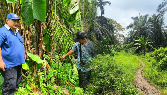 Panitia A Kantah Pasbar Turun ke Lapangan, Pastikan Batas dan Data Tanah Sesuai Kondisi Riil