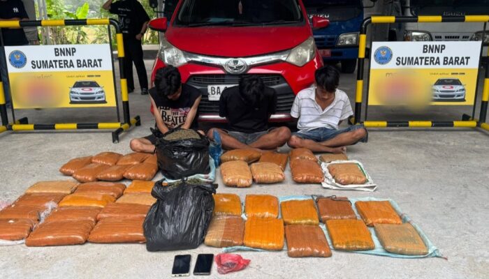 Nyaris Beredar di Sumbar, 44 Kg Ganja Disita BNNP dari Sebuah Sindikat