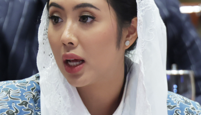 Cindy Monica Soroti Pengawasan Ruang Digital dan Pemerataan Internet