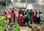 Dukung Budidaya Jahe Jadi Produk UMKM, Ketua DPRD Sumbar Muhidi Diapresiasi KWT Sumber Rizki