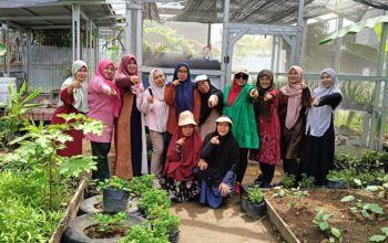 Dukung Budidaya Jahe Jadi Produk UMKM, Ketua DPRD Sumbar Muhidi Diapresiasi KWT Sumber Rizki